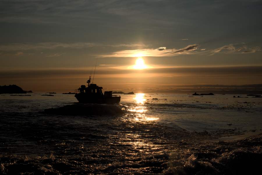 Island Grönland 2018 (1339 von 2507)-min