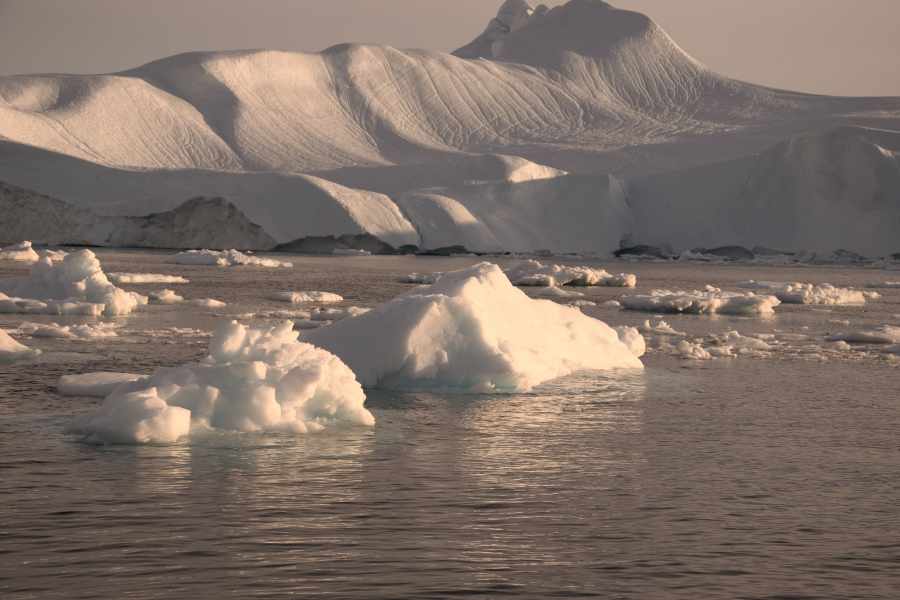 Island Grönland 2018 (1507 von 2507)-min