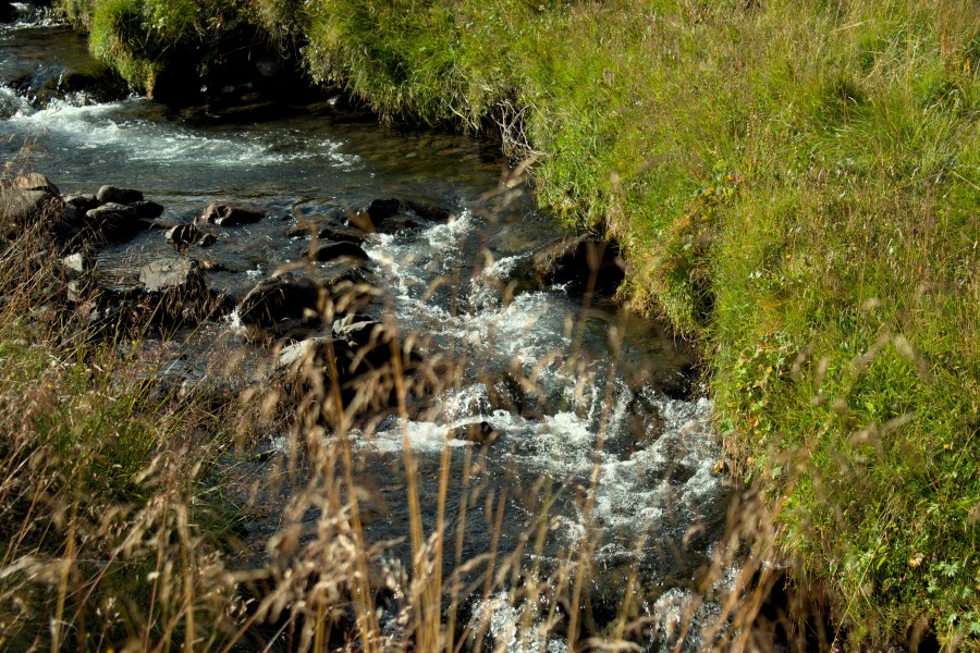 Island Grönland 2018 (281 von 2507)