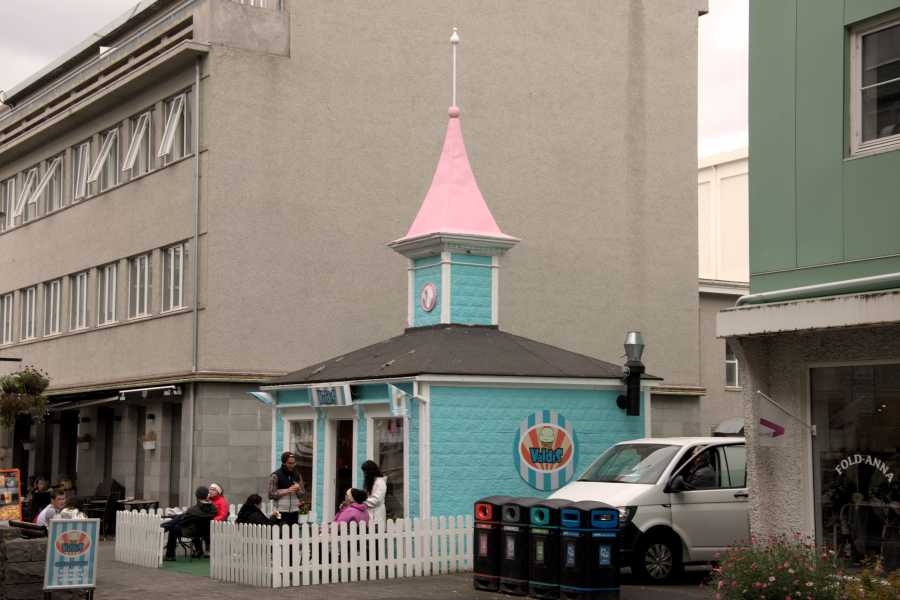 Island Grönland 2018 (534 von 2507)-min