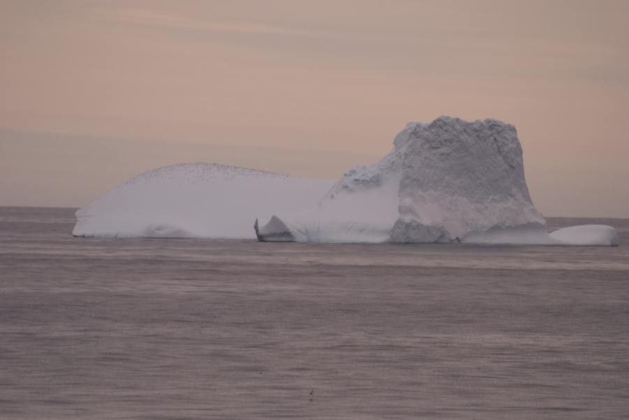 Island Grönland 2018 (545 von 2507)-min
