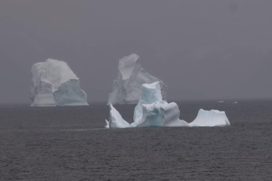 Island Grönland 2018 (588 von 2507)-min