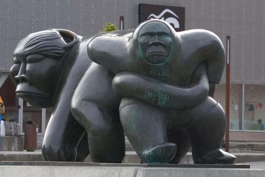 Island Grönland 2018 (753 von 2507)-min