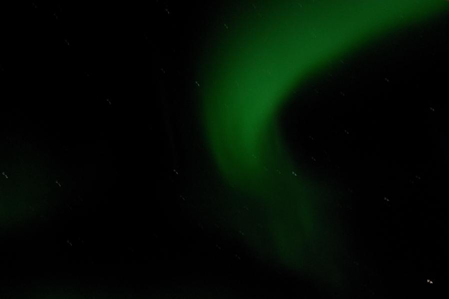 Island Grönland 2018 (910 von 2507)-min