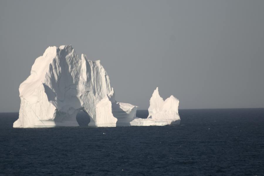Island Grönland 2018 (953 von 2507)-min