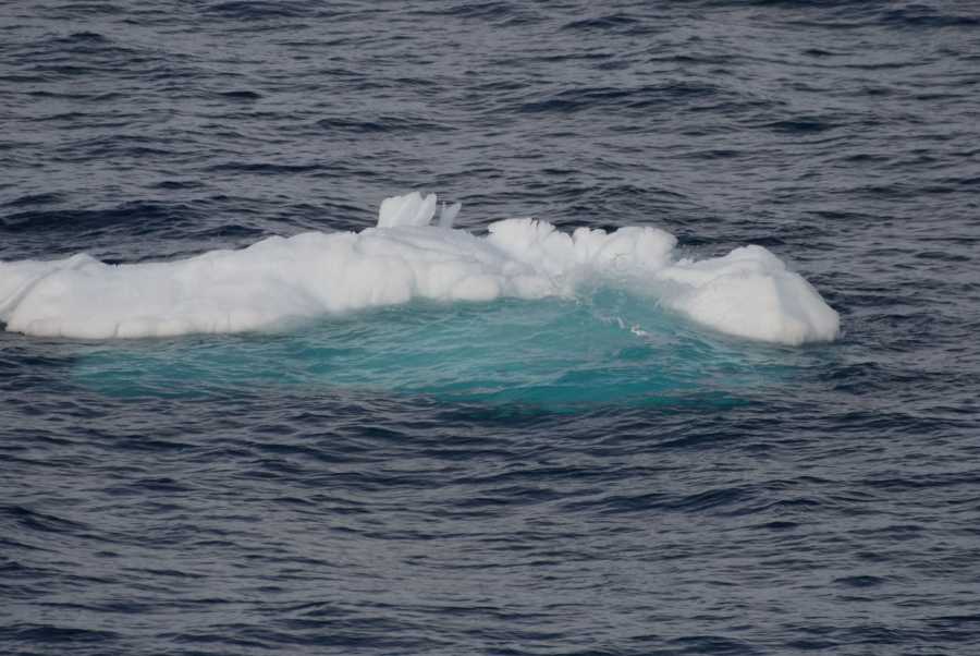 Island Grönland 2018 (986 von 2507)-min