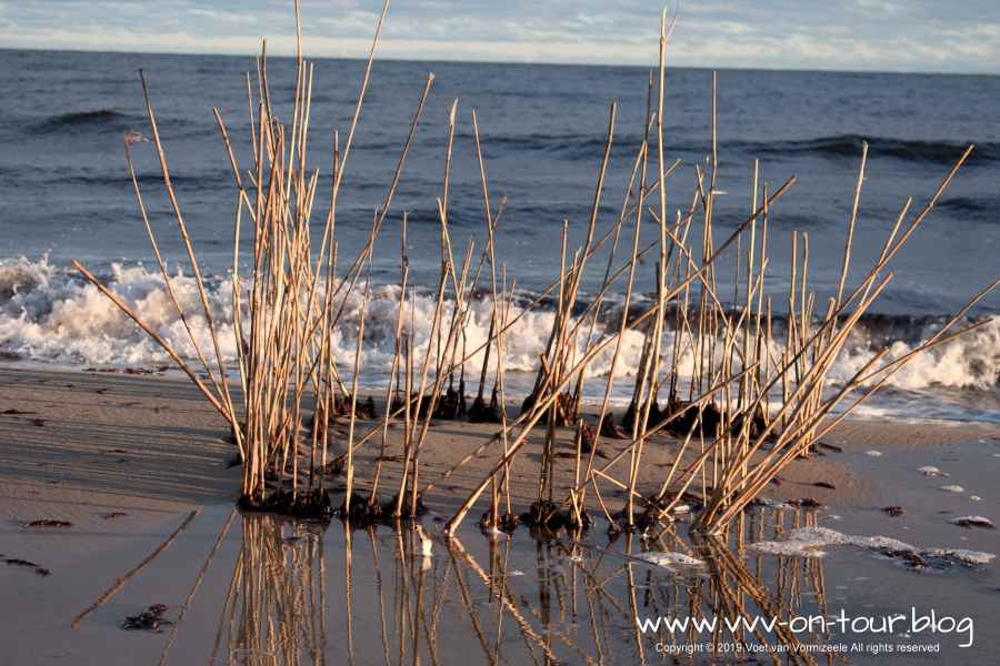 2019 Sylvester Schweden-6