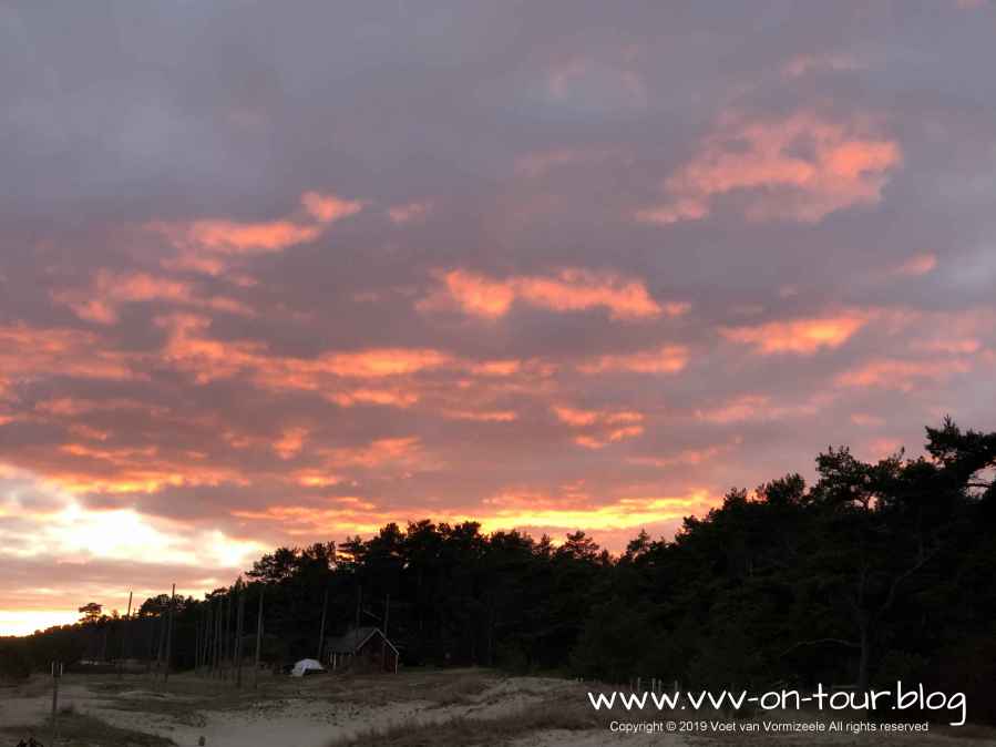 2019 Sylvester Schweden-8